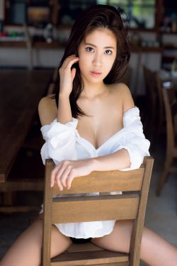 报告夫人漫画免费
