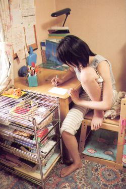 完美前传