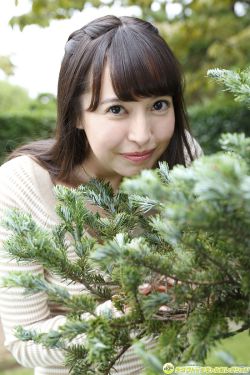 完美前传