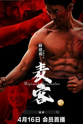 麦客2024